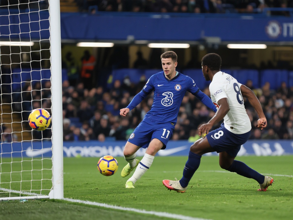 己的职业价 己的职业价